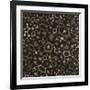 Atomic Friends-Susan Clickner-Framed Giclee Print