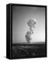 Atomic Mushroom Cloud-null-Framed Stretched Canvas