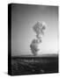 Atomic Mushroom Cloud-null-Stretched Canvas