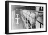 Atomic Power Station-null-Framed Photographic Print