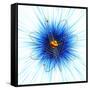 Atomic Structure, Artwork-Mehau Kulyk-Framed Stretched Canvas