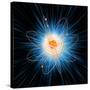 Atomic Structure, Artwork-Mehau Kulyk-Stretched Canvas