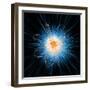 Atomic Structure, Artwork-Mehau Kulyk-Framed Premium Photographic Print