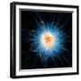 Atomic Structure, Artwork-Mehau Kulyk-Framed Premium Photographic Print