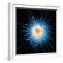 Atomic Structure, Artwork-Mehau Kulyk-Framed Premium Photographic Print