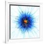 Atomic Structure, Artwork-Mehau Kulyk-Framed Photographic Print