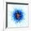 Atomic Structure, Artwork-Mehau Kulyk-Framed Photographic Print