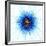 Atomic Structure, Artwork-Mehau Kulyk-Framed Photographic Print