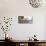 Atrani Caffe #5A Horizontal-Alan Blaustein-Photographic Print displayed on a wall
