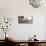 Atrani Caffe #5A Horizontal-Alan Blaustein-Mounted Photographic Print displayed on a wall