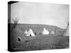 Atsina Camp Scene-Edward S^ Curtis-Stretched Canvas