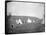 Atsina Camp Scene-Edward S^ Curtis-Framed Stretched Canvas