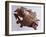 Attachment from Horses Harnesses, Bronze, from Sofronievo, Vratsa Region, Bulgaria-null-Framed Giclee Print