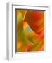 Attachment II-Ruth Palmer-Framed Art Print