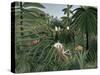 Attack of Jaguar, c.1910-Henri Rousseau-Stretched Canvas