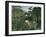 Attack of Jaguar, c.1910-Henri Rousseau-Framed Giclee Print