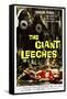 Attack of the Giant Leeches (aka the Giant Leeches), 1959-null-Framed Stretched Canvas