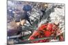 Attack on Titan - Battle-Trends International-Mounted Poster