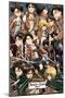 Attack on Titan - Collage-Trends International-Mounted Poster