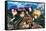 Attack on Titan - Swords-Trends International-Framed Stretched Canvas