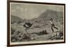 Attacked by an Ostrich, an Incident on a Farm at the Cape of Good Hope-null-Framed Giclee Print