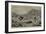 Attacked by an Ostrich, an Incident on a Farm at the Cape of Good Hope-null-Framed Giclee Print