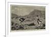 Attacked by an Ostrich, an Incident on a Farm at the Cape of Good Hope-null-Framed Giclee Print