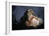 Attacking Saltwater Crocodile-W. Perry Conway-Framed Photographic Print