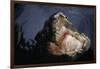 Attacking Saltwater Crocodile-W. Perry Conway-Framed Photographic Print