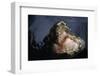 Attacking Saltwater Crocodile-W. Perry Conway-Framed Photographic Print