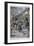 Attempted Attack on Edward, Prince of Wales in Brussels, 1900-null-Framed Giclee Print