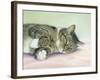 Attention Seeker-Janet Pidoux-Framed Giclee Print