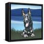 Attention Sheppard-Kim Curinga-Framed Stretched Canvas