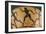 Attic Kyathos Amphora Depicting Athletes Running in a Race, Vulci Archaeological Naturalistic Park-null-Framed Premium Giclee Print