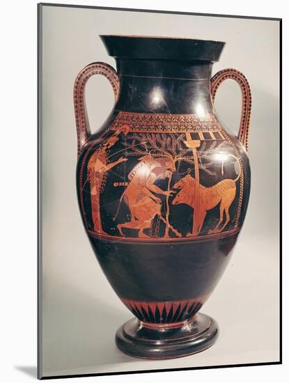 Attic Red-Figure Belly Amphora of Herakles Capturing Kerberus, Greek, from Athens, 6th Century B-Andokides-Mounted Giclee Print
