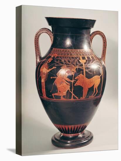 Attic Red-Figure Belly Amphora of Herakles Capturing Kerberus, Greek, from Athens, 6th Century B-Andokides-Stretched Canvas