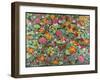 Attraction, 2011-Pat Scott-Framed Giclee Print