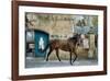 Attraction-Jay Boyd Kirkman-Framed Premium Giclee Print