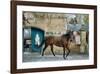 Attraction-Jay Boyd Kirkman-Framed Premium Giclee Print