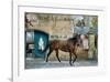 Attraction-Jay Boyd Kirkman-Framed Premium Giclee Print