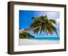 Attraction-Marco Carmassi-Framed Photographic Print