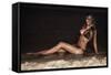 Attractive Brunette Lady Posing on the Beach at Night.-PawelSierakowski-Framed Stretched Canvas