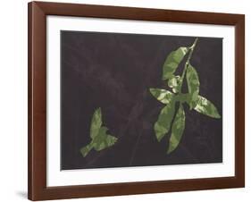 Attractive Fruit-January Flanders-Framed Giclee Print