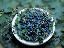 Bowl of Blueberries-ATU Studios-Framed Photographic Print