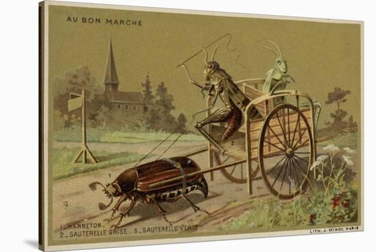 Au Bon Marche Cards Featuring Anthropomorphic Insects-null-Stretched Canvas