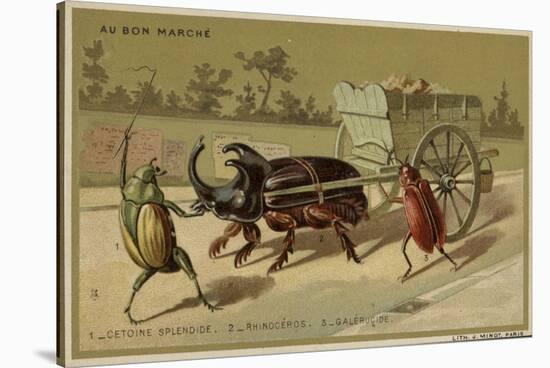 Au Bon Marche Cards Featuring Anthropomorphic Insects-null-Stretched Canvas