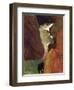 Au Dessus du Gouffre-Paul Gauguin-Framed Premium Giclee Print