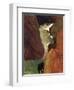 Au Dessus du Gouffre-Paul Gauguin-Framed Premium Giclee Print