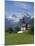 Au, Near Lofer, Salzburg State, Austria-Doug Pearson-Mounted Photographic Print