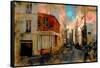 Au Petit Moulin, Paris, France-Nicolas Hugo-Framed Stretched Canvas